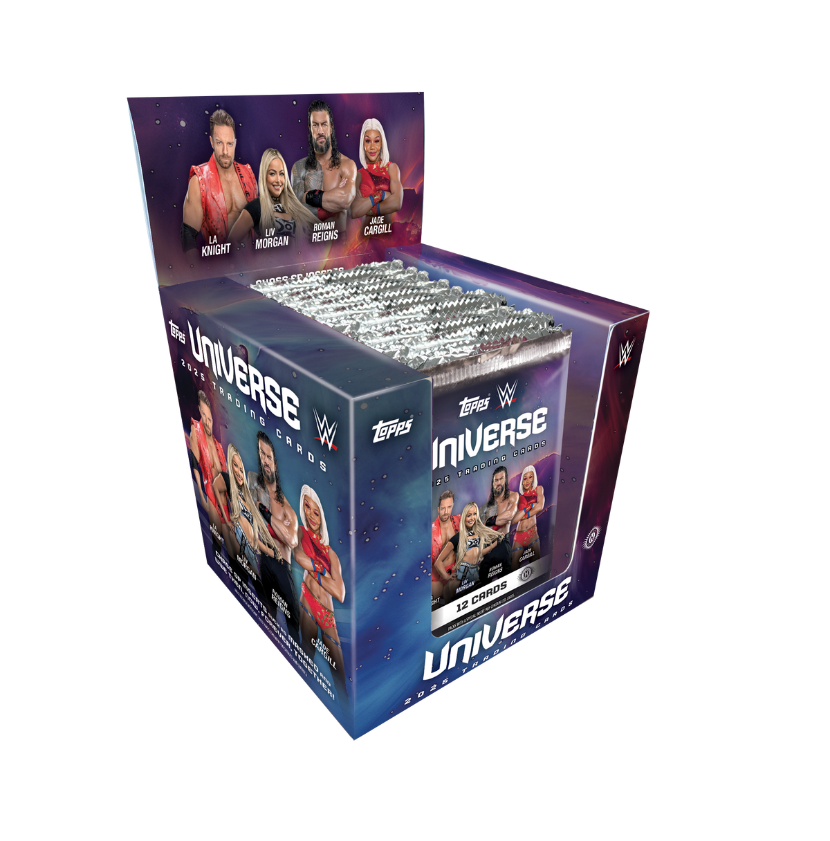 2025 WWE Universe Hobby