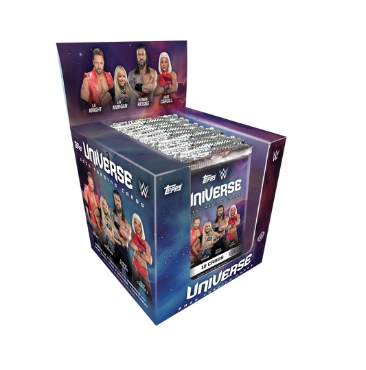 2025 WWE Universe Hobby