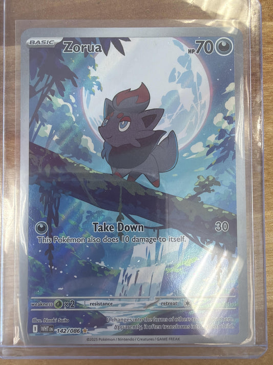 2025 Pokemon White Flare Zorua #142/086 Illustration Rare